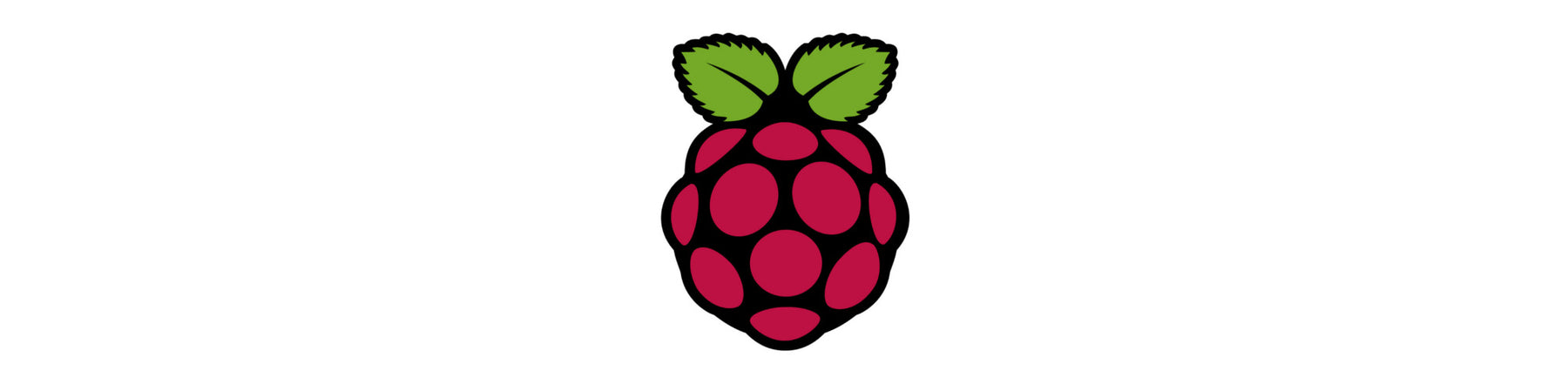 Which Raspberry Pi Operating System Should I Use?