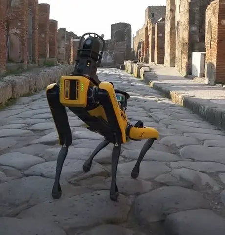 Spot in Pompeii