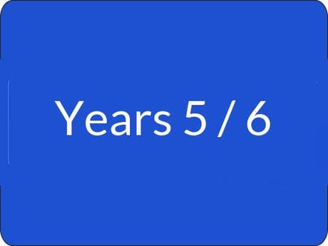 Year 5 - Year 6