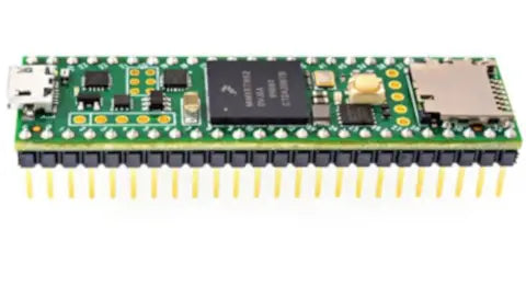 August 24th 2022 Newsletter