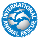 International Animal Rescue Logo