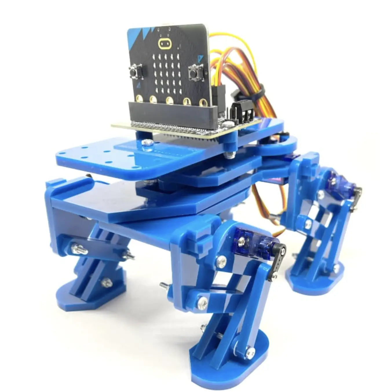 December 7th 2022 Newsletter