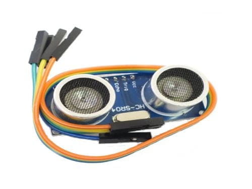 19th October Newsletter 2022