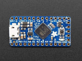 Adafruit Itsy Bitsy 32U4 - 3V 8Mhz (Id: 3675) - Derivative Boards