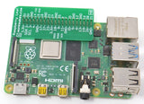 Raspberry Leaf - 20 Pack - Raspberry Pi